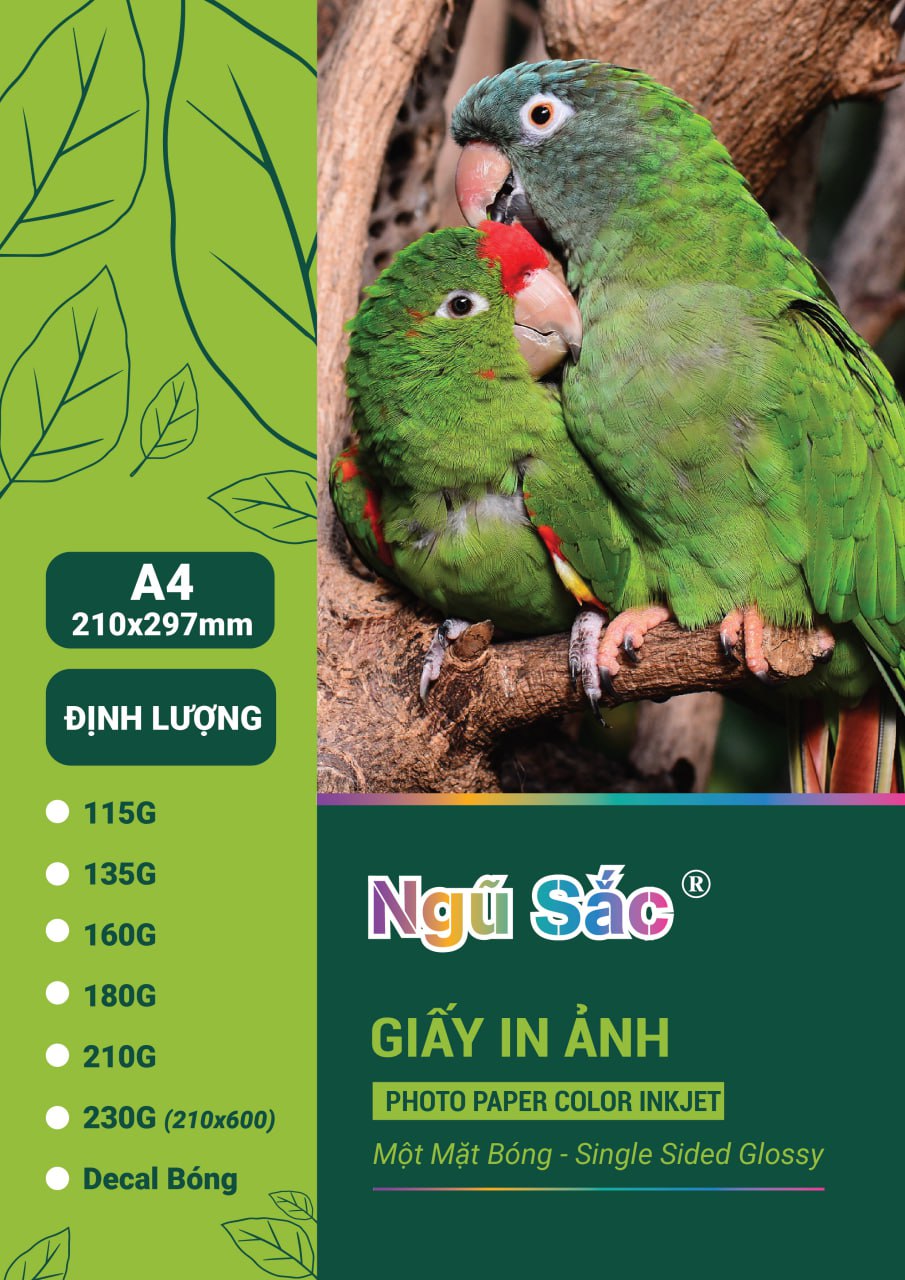 Khám phá vẻ đẹp và sức mạnh của Giấy in ảnh Ngũ Sắc A4 1 mặt 115gsm 100 tờ