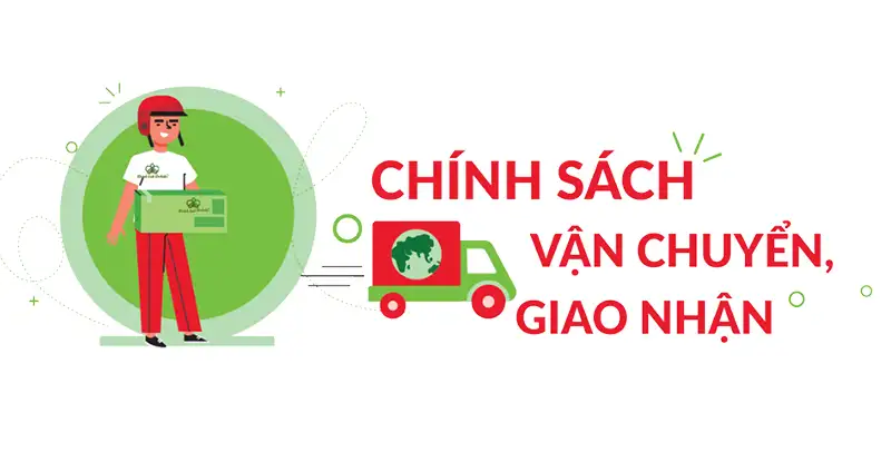 Chi tiết Chính sách Vận chuyển: Minh bạch và Ưu đãi